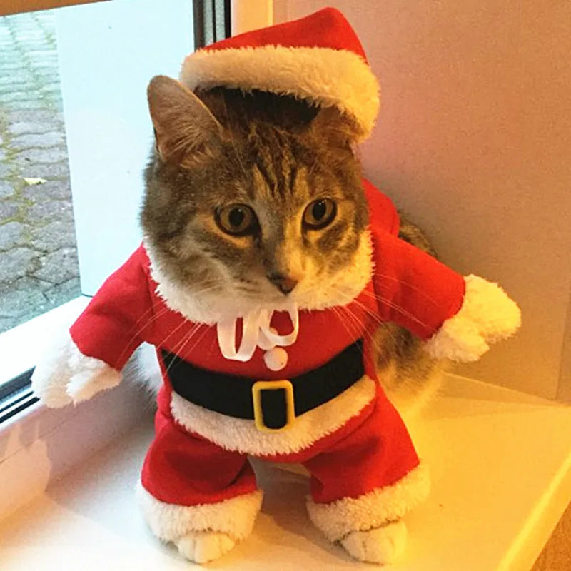Turn Your Kitty into a Festive Feline: Hilarious Santa Costumes for Small Cats and Dogs - Perfect for Xmas and New Year Fun!
