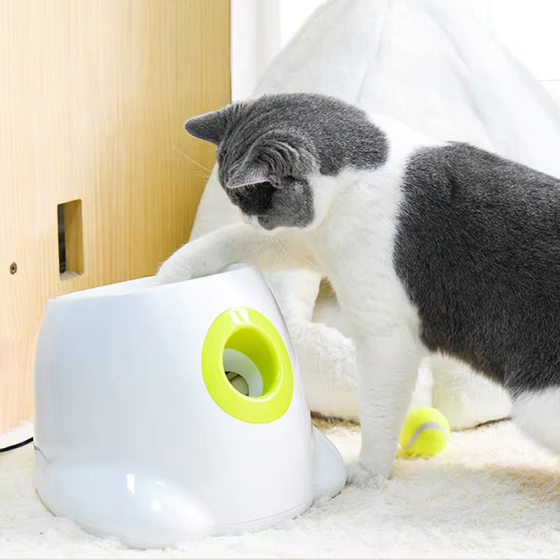 Unleash the Fun with Our Automatic Ball Launcher – The Ultimate Fetch Machine for Your Furry Best Friend!