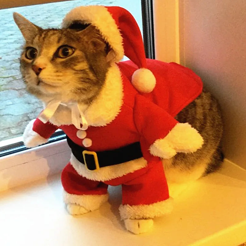 Turn Your Kitty into a Festive Feline: Hilarious Santa Costumes for Small Cats and Dogs - Perfect for Xmas and New Year Fun!