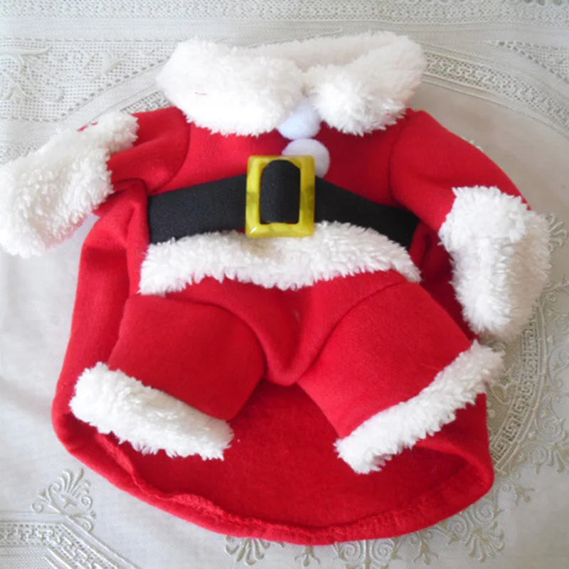 Turn Your Kitty into a Festive Feline: Hilarious Santa Costumes for Small Cats and Dogs - Perfect for Xmas and New Year Fun!