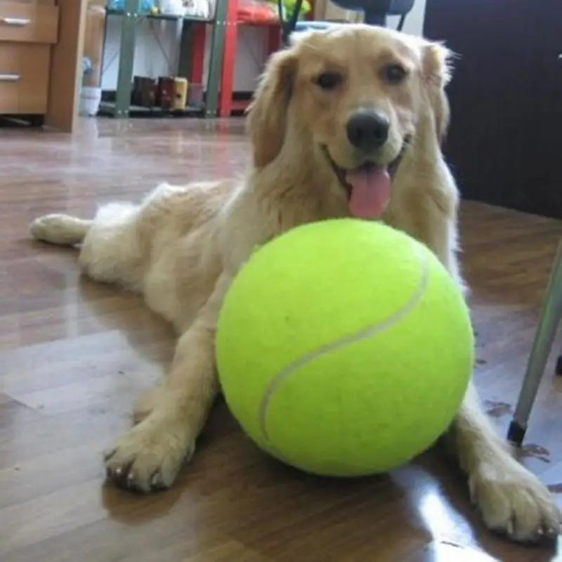 The Ultimate Chew-tion Ball: Mega Jumbo Tennis Fun for Your Furry Superstar!