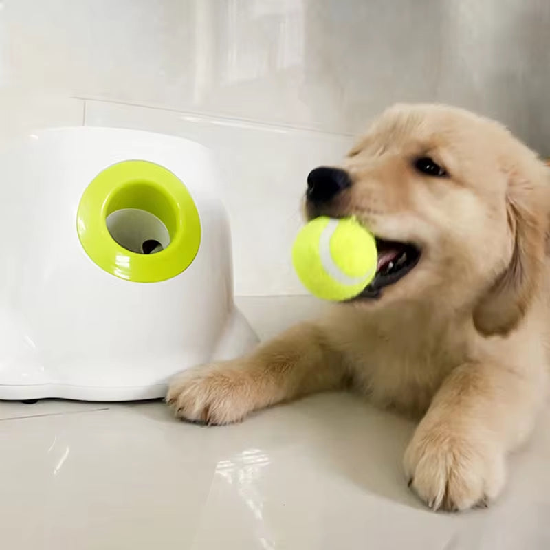 Unleash the Fun with Our Automatic Ball Launcher – The Ultimate Fetch Machine for Your Furry Best Friend!
