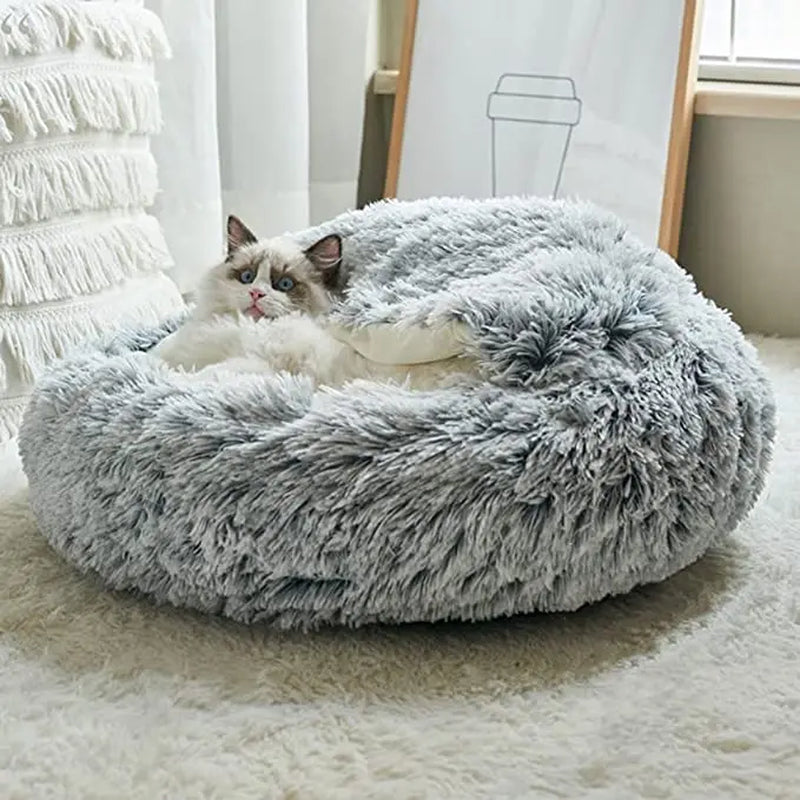 Cozy Cat Cloud: The Purr-fect Plush 2-in-1 Winter Bed for Feline Royals and Small Pawesome Pooches!